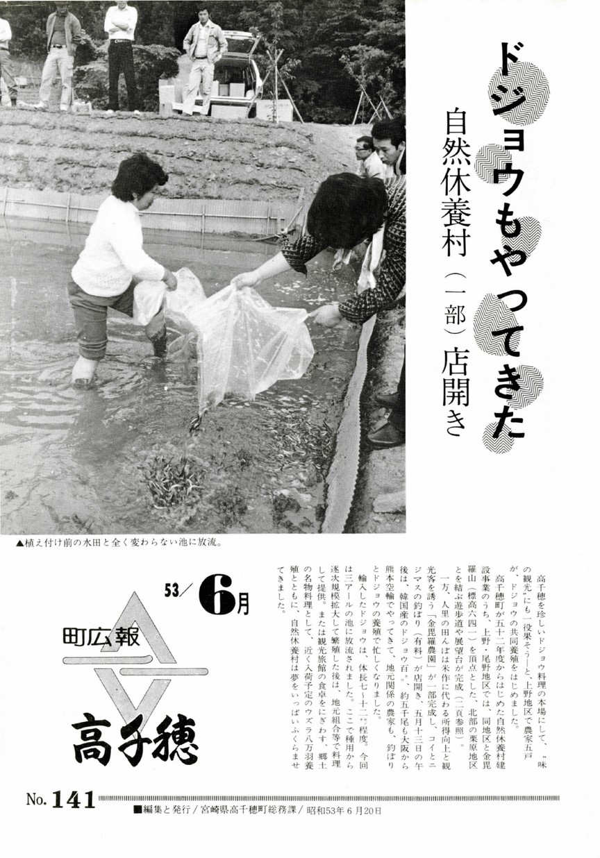 広報たかちほ　No.141　1978年6月号の表紙画像
